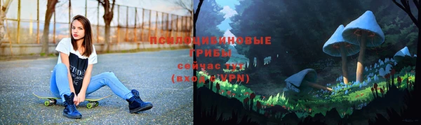 ГАЛЛЮЦИНОГЕННЫЕ ГРИБЫ Армянск
