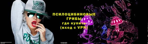 ГАЛЛЮЦИНОГЕННЫЕ ГРИБЫ Армянск
