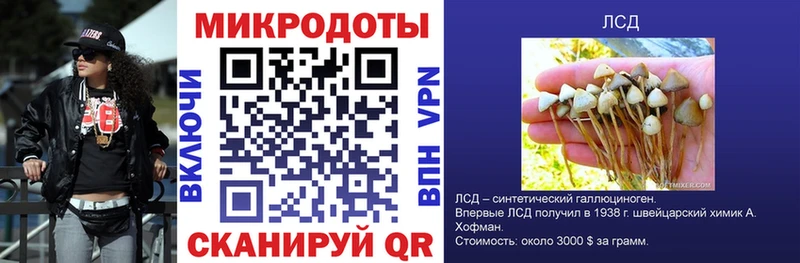 Галлюциногенные грибы мицелий  купить наркотик  Бодайбо 